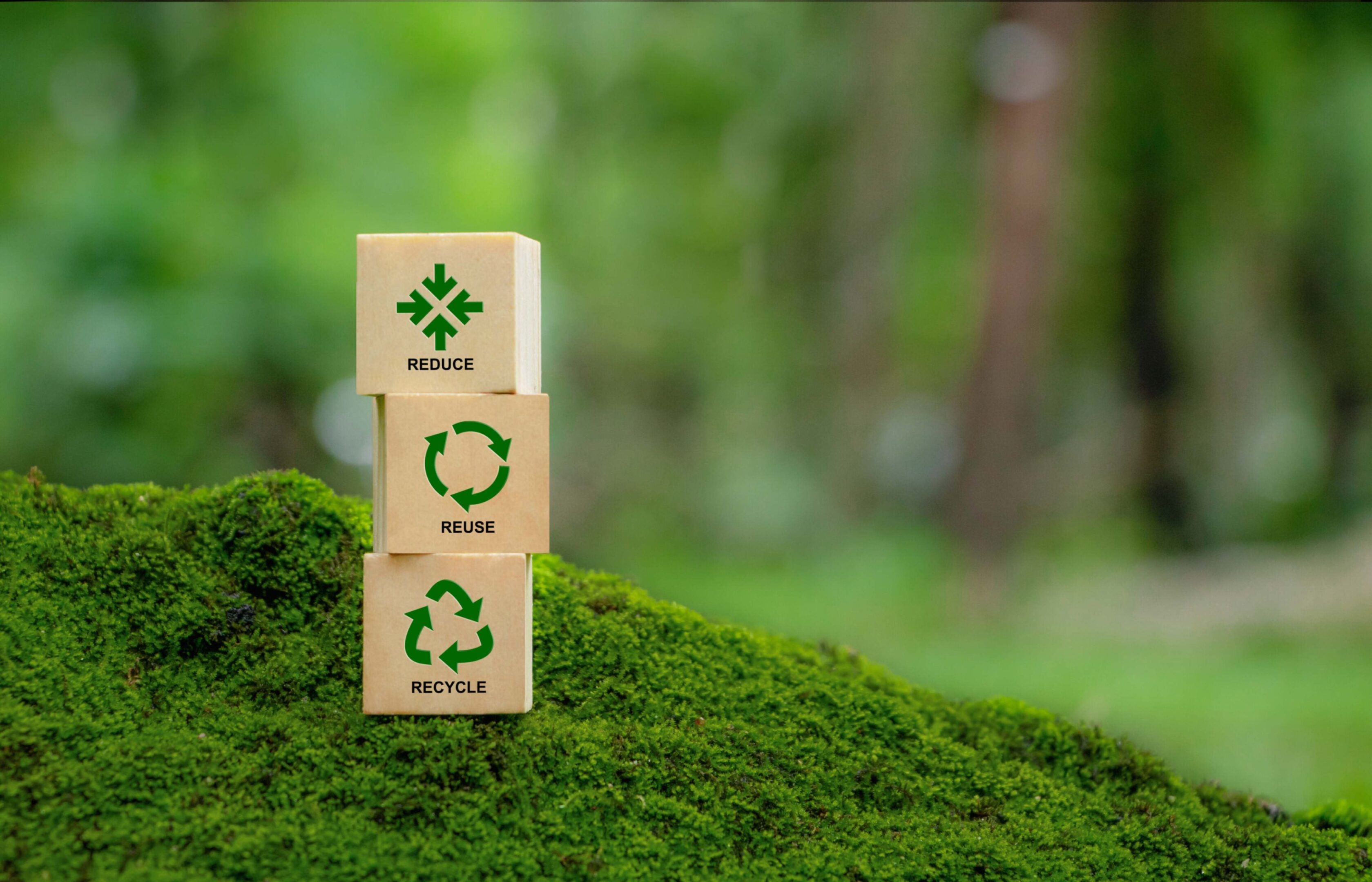 jpeg-optimizer_GettyImages-1919016241 Three wooden blocks labeled "Reduce," "Reuse," and "Recycle" are stacked on a moss-covered surface, with a green forest background.